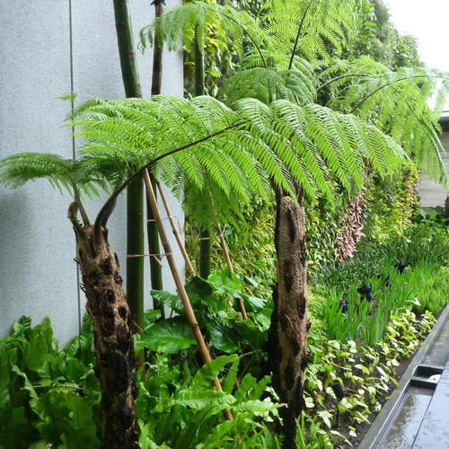 Tukang Taman Terdekat